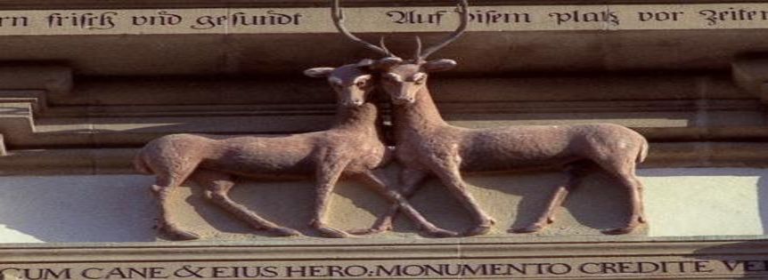 Group of animals on the north tower of Schöntal monastery church