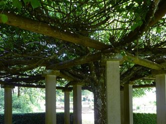 Kloster Schöntal, Konventgarten, Lindenpavillon